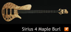Sirius 4 Maple Burl