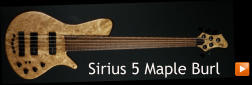 Sirius 5 Maple Burl