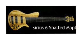 Sirius 6 Spalted Maple
