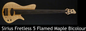 Sirius Fretless 5 Flamed Maple Bicolour