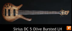 Sirius DC 5 Olive Bursted LH