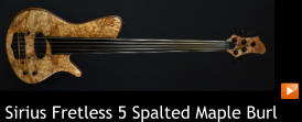 Sirius Fretless 5 Spalted Maple Burl