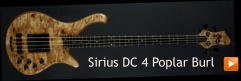 Sirius DC 4 Poplar Burl