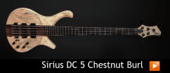 Sirius DC 5 Chestnut Burl
