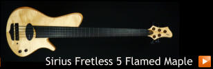 Sirius Fretless 5 Flamed Maple