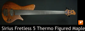 Sirius Fretless 5 Thermo Figured Maple