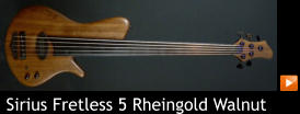 Sirius Fretless 5 Rheingold Walnut