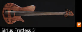 Sirius Fretless 5