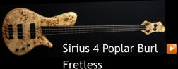 Sirius 4 Poplar Burl  Fretless