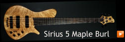 Sirius 5 Maple Burl