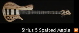 Sirius 5 Spalted Maple