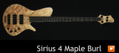 Sirius 4 Maple Burl