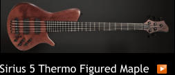 Sirius 5 Thermo Figured Maple