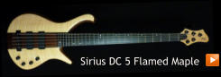 Sirius DC 5 Flamed Maple