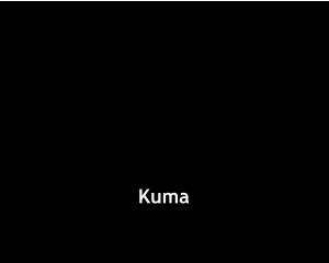 Kuma