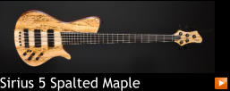 Sirius 5 Spalted Maple