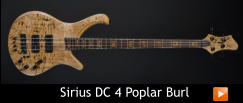 Sirius DC 4 Poplar Burl