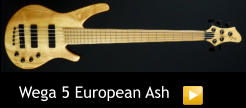 Wega 5 European Ash