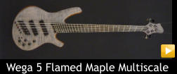 Wega 5 Flamed Maple Multiscale