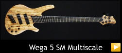 Wega 5 SM Multiscale