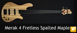 Merak 4 Fretless Spalted Maple