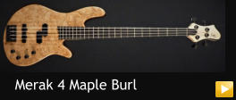 Merak 4 Maple Burl