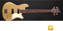 Merak Shorty 4 Gold