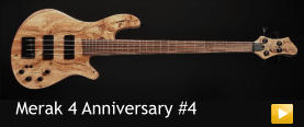Merak 4 Anniversary #4